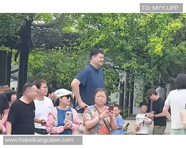 姚明与台湾球迷的深厚情谊与篮球梦想的交汇之旅