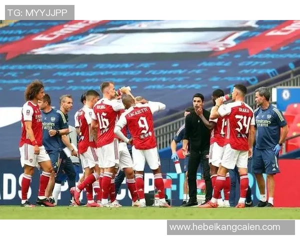 足总杯精彩对决阿森纳与里昂战成平局神扑瞬间引发全场热潮